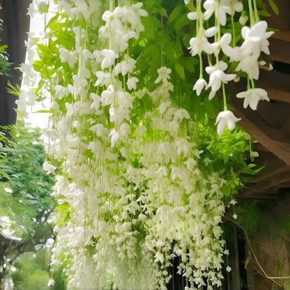✨ Midnight Perfume Series Seeds : Pure White Jasmine – Your Soft Night Bloom Scent🌿❄️🌸Buy 1 Get 1 Free🌸
