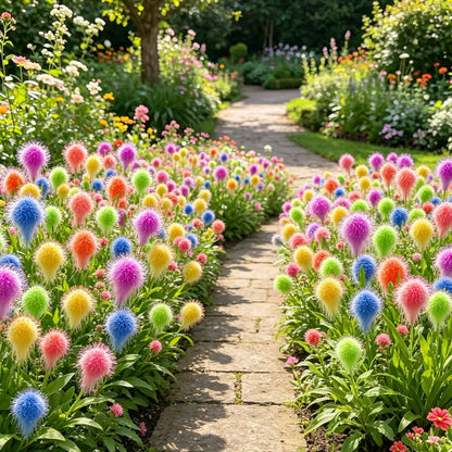 Multi-Color Fluffy Pom Pom Sunflower Seeds☀️Bring magic and beauty to your garden!☀️Buy 1 Get 1 Free☀️