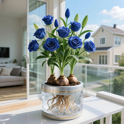 ✨HYDROPONIC ROSE BULBS -ENCHANTING FRAGRANT🌹CAN BE GROWN IN WATER OR SOIL🔥Buy 1 Get 1 Free🔥