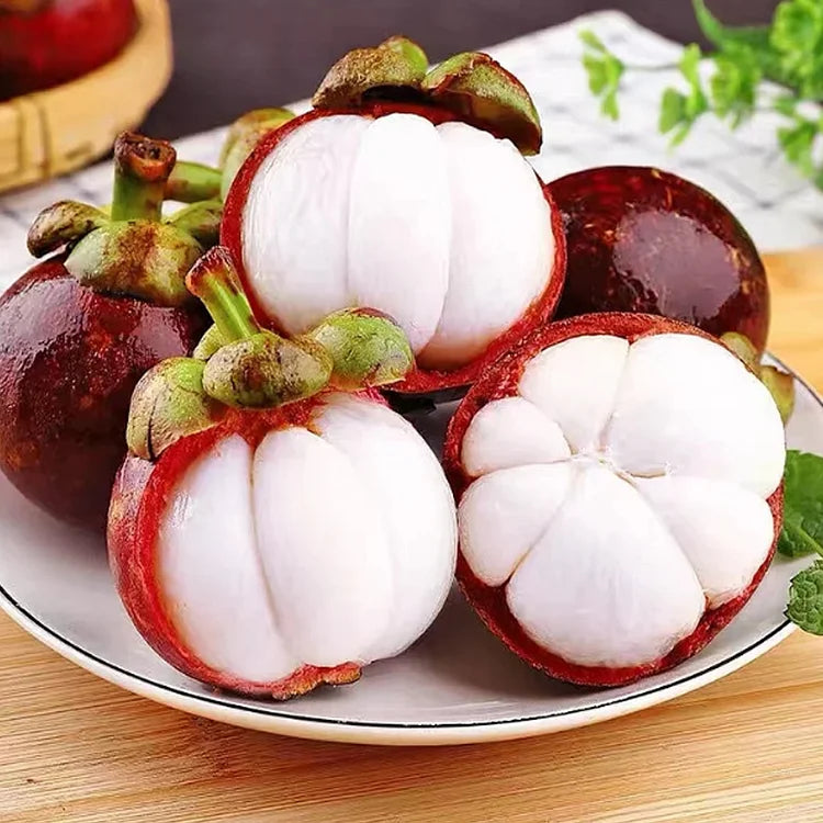 🔥Buy 1 Get 1 Free🔥🍈Mangosteen Seeds – Cultivate the Queen of Fruits in Your Garden!
