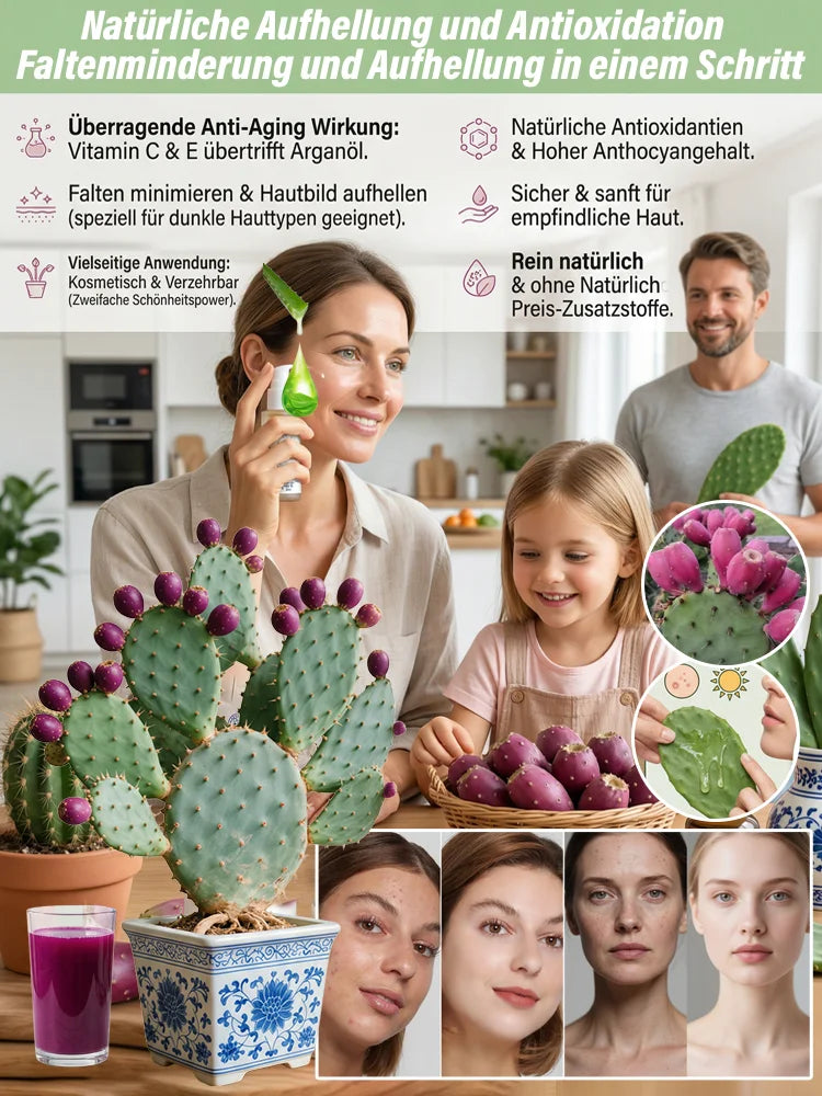 🍈 Fruit Cactus Seeds 🍈 Edible, nutritious fruits 🌵Easy to grow & drought-tolerant ⚡Fast growth & low pest risk🔥Buy 1 Get 1 Free🔥