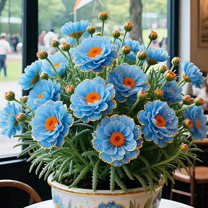 🔥Buy 1 Get 1 Free🔥🌸Golden Lace Portulaca🌸✨ Brilliant Double Blooms for Effortless Summer Color