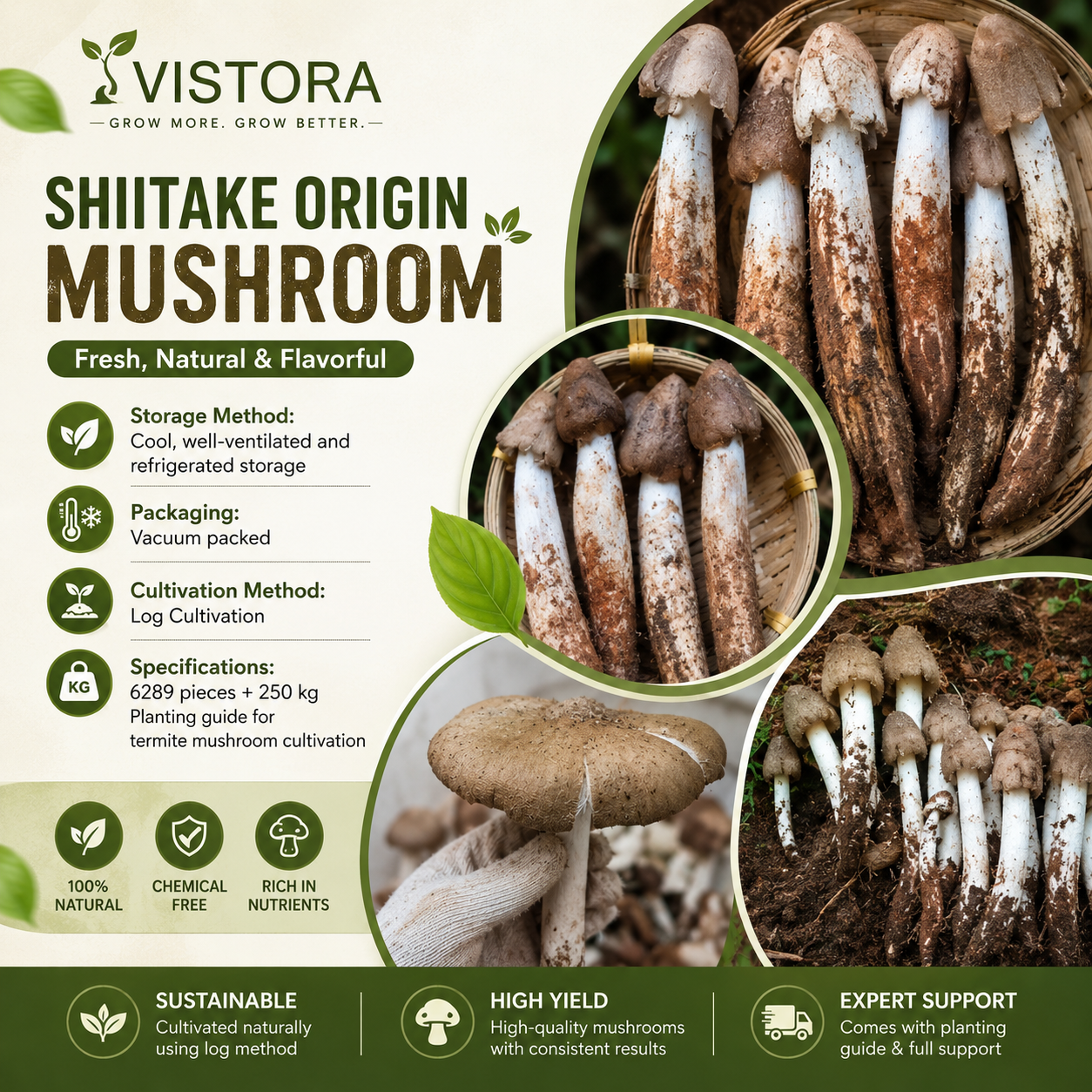 🥳2026 HOT SALE🥳💞50K+ SOLD!✨Premium Organic Mushroom Harvest Grow Kit Seeds – Buy 1 Get 1 F