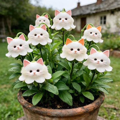 🐱Magical plants! Cat's eye dazzling series✨Cat’s Eye flower Bulbs🌸Buy 3 Get 1 Free🌸With Plant Growth Supplement