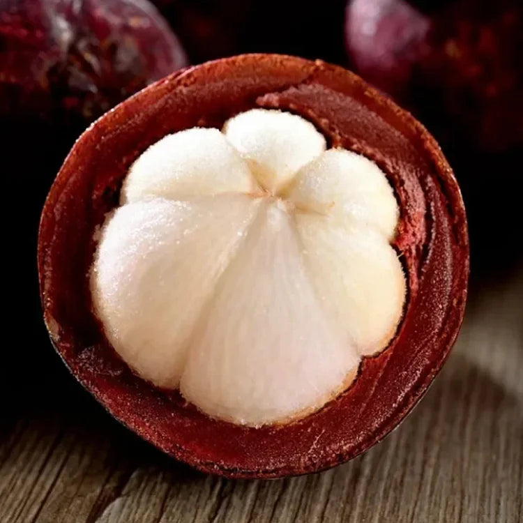 🔥Buy 1 Get 1 Free🔥🍈Mangosteen Seeds – Cultivate the Queen of Fruits in Your Garden!