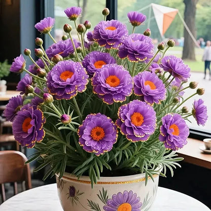🔥Buy 1 Get 1 Free🔥🌸Golden Lace Portulaca🌸✨ Brilliant Double Blooms for Effortless Summer Color