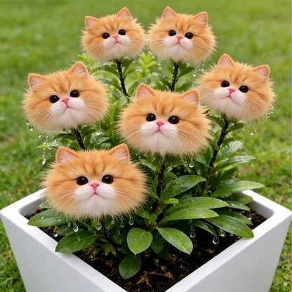 🐱Magical plants! Cat's eye dazzling series✨Cat’s Eye flower Bulbs🌸Buy 3 Get 1 Free🌸With Plant Growth Supplement