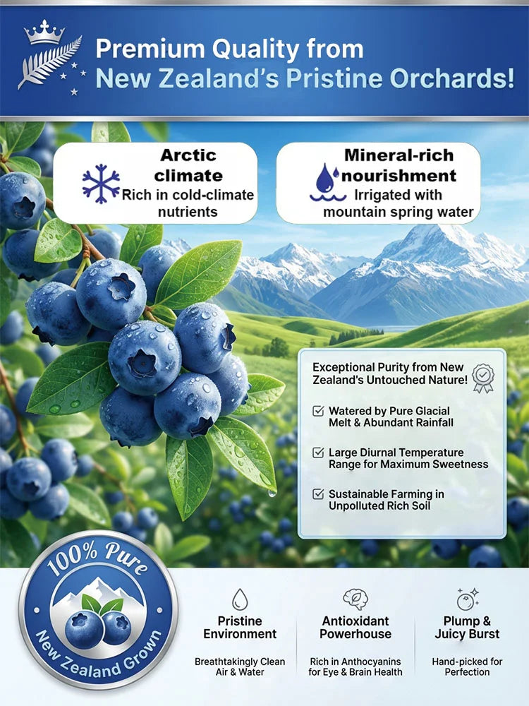 🔥Buy 1 Get 1 Free🔥[Anti-Cancer and Heart Protection] Changbai Mountain Dried Blueberries Seeds – With Plant Growth Supplement Free