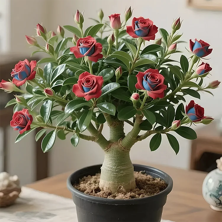 🌵🌺DESERT ROSE BULBS🔥Buy 1 Get 1 Free🔥