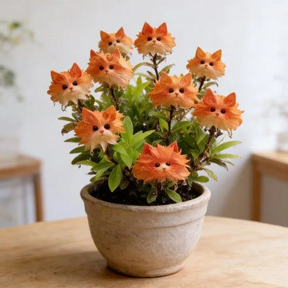 🐱Magical plants! Cat's eye dazzling series✨Cat’s Eye flower Bulbs🌸Buy 3 Get 1 Free🌸With Plant Growth Supplement