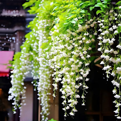 ✨ Midnight Perfume Series Seeds : Pure White Jasmine – Your Soft Night Bloom Scent🌿❄️🌸Buy 1 Get 1 Free🌸