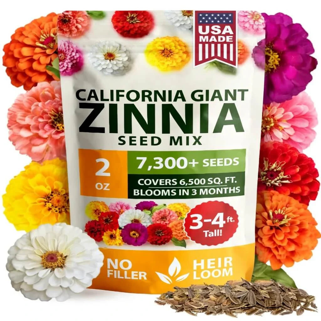 🔥HOT SALE 49% OFF-Zinnia Seeds - Pure Seeds - No Filler - USA Heirloom Flower Seeds🌺Buy 1 Get 1 free🌺