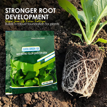 💥Hot sale 50% OFF♻️💧⚡Rapid Green-Up Foliar Fertilizer 🍃🌸BUY 2 GET 1 FREE🌸