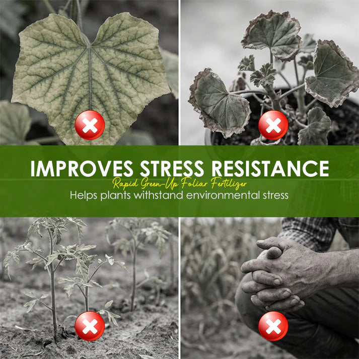 💥Hot sale 50% OFF♻️💧⚡Rapid Green-Up Foliar Fertilizer 🍃🌸BUY 2 GET 1 FREE🌸