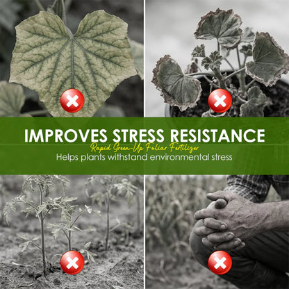 💥Hot sale 50% OFF♻️💧⚡Rapid Green-Up Foliar Fertilizer 🍃🌸BUY 2 GET 1 FREE🌸