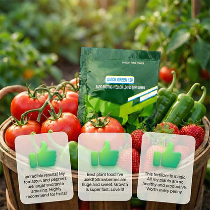 💥Hot sale 50% OFF♻️💧⚡Rapid Green-Up Foliar Fertilizer 🍃🌸BUY 2 GET 1 FREE🌸