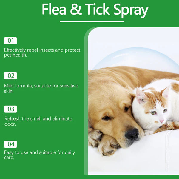 🍃Natural Flea & Tick Spray for Dogs and Cats🐾 Keep Your Beloved Pet Free from Pests💥BUY 1 GET 1 FREE💥