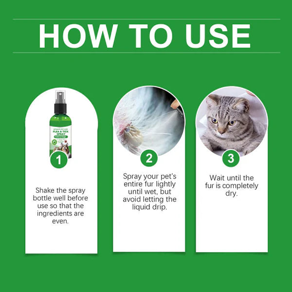 🍃Natural Flea & Tick Spray for Dogs and Cats🐾 Keep Your Beloved Pet Free from Pests💥BUY 1 GET 1 FREE💥